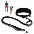Hands-Free Waist Belt Dog Leash - Adjustable Running Bungee | RoamX Pet