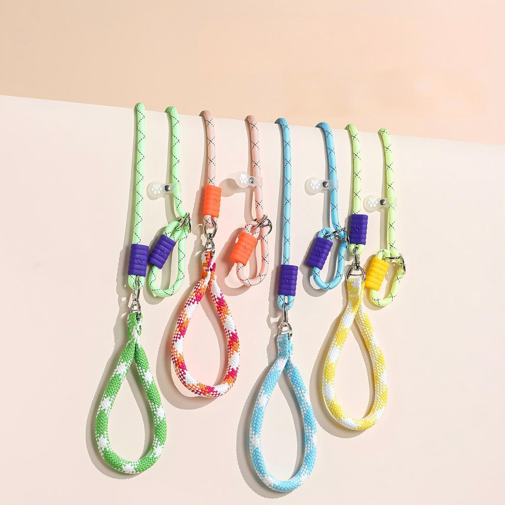 Glow-in-the-Dark Fluorescent Dog Leash - Night Safety | RoamX Pet