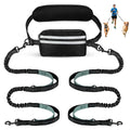 Hands-Free Double Dog Leash with Waist Bag - 2 Dog Bungee | RoamX Pet