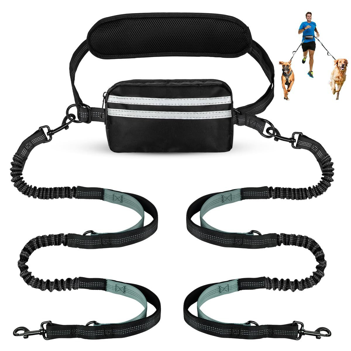 Hands-Free Double Dog Leash with Waist Bag - 2 Dog Bungee | RoamX Pet