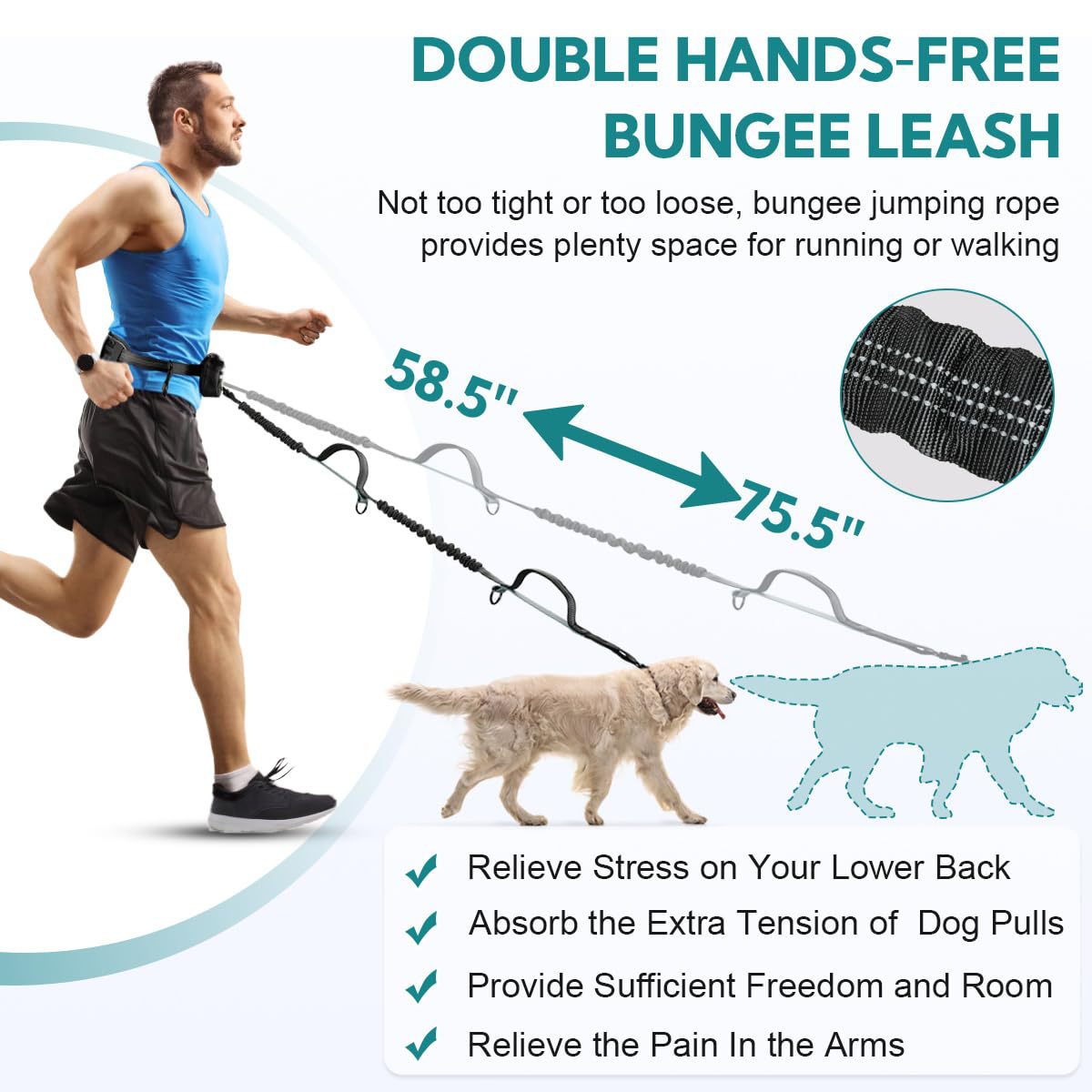 Hands-Free Double Dog Leash with Waist Bag - 2 Dog Bungee | RoamX Pet