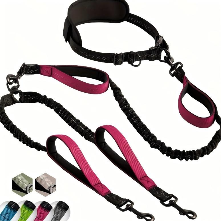 Dual Rope Hands-Free Waist Dog Leash - Walk Two Dogs | RoamX Pet