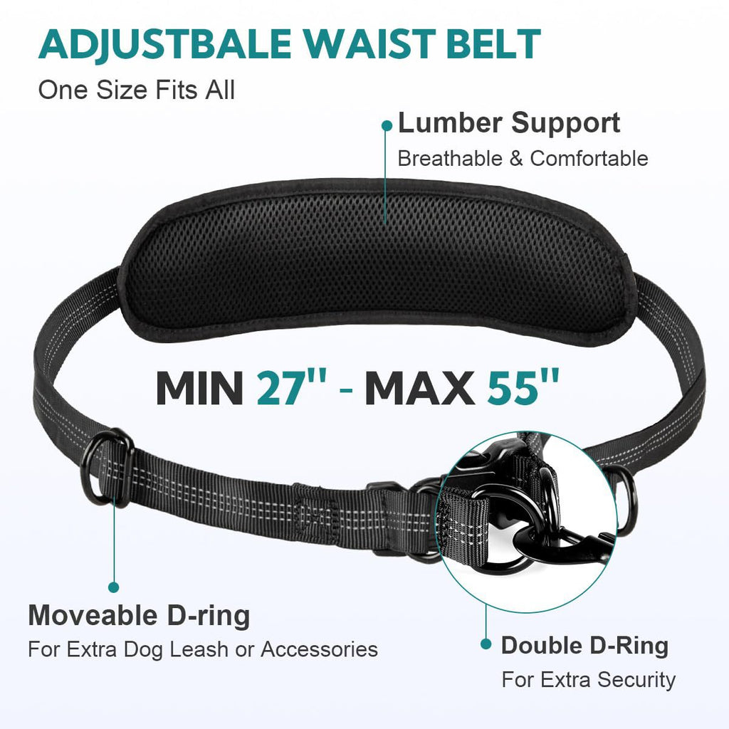 Hands-Free Double Dog Leash with Waist Bag - 2 Dog Bungee | RoamX Pet