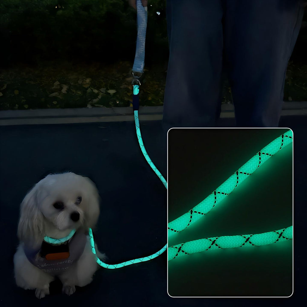 Glow-in-the-Dark Fluorescent Dog Leash - Night Safety | RoamX Pet