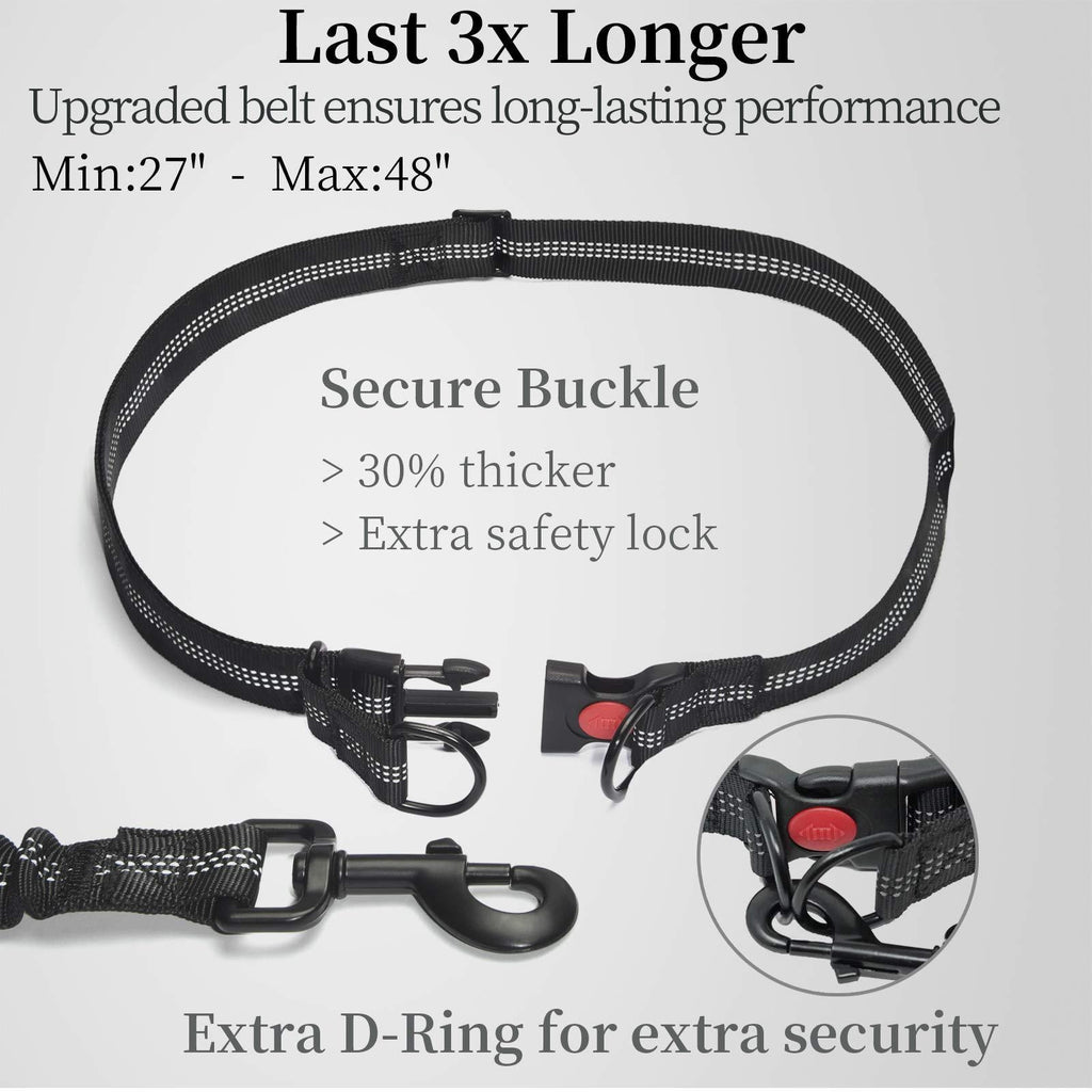 Hands-Free Running Dog Leash with Waist Bag - Bungee Belt | RoamX Pet
