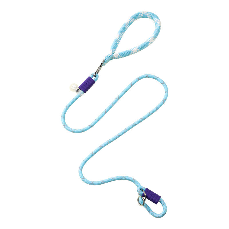 Glow-in-the-Dark Fluorescent Dog Leash - Night Safety | RoamX Pet