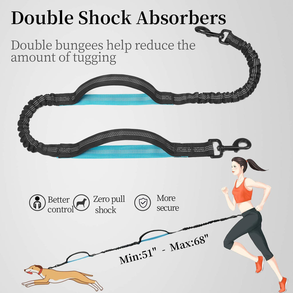 Hands-Free Running Dog Leash with Waist Bag - Bungee Belt | RoamX Pet