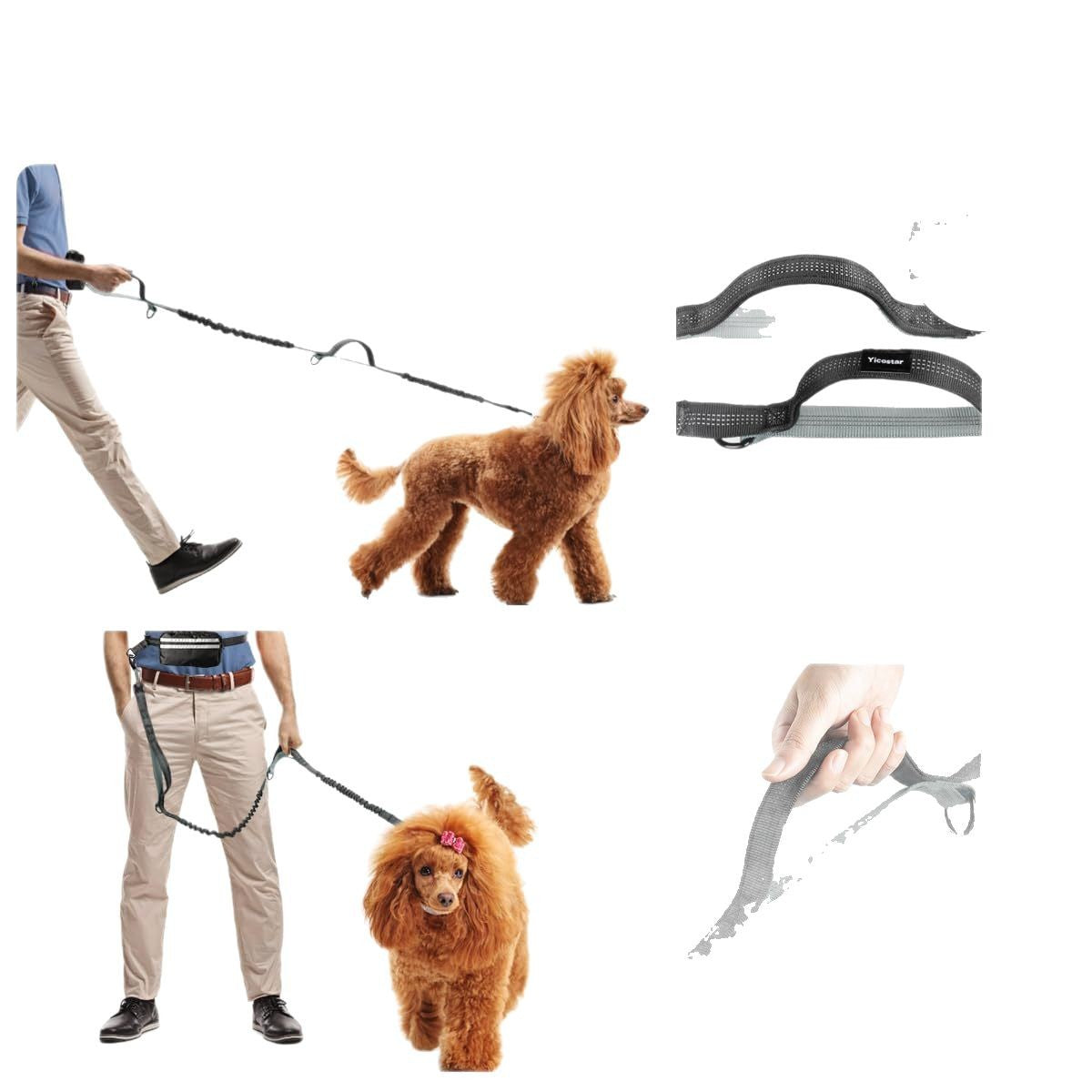 Hands-Free Double Dog Leash with Waist Bag - 2 Dog Bungee | RoamX Pet