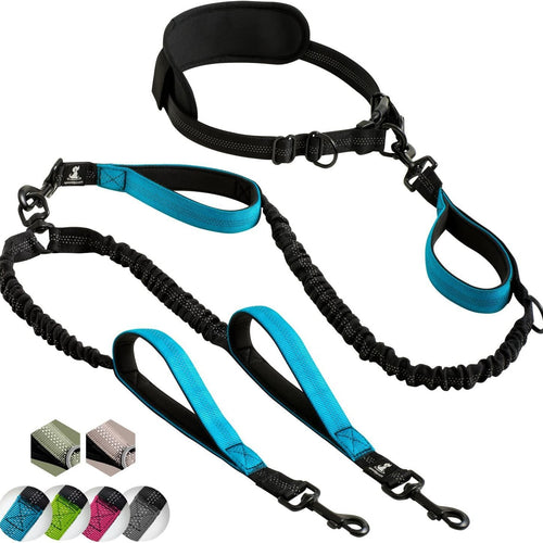Dual Rope Hands-Free Waist Dog Leash - Walk Two Dogs | RoamX Pet