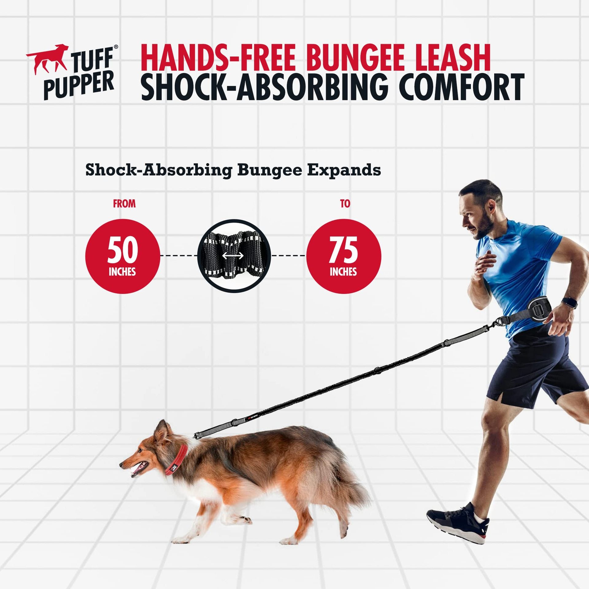 Hands-Free Waist Belt Dog Leash - Adjustable Running Bungee | RoamX Pet