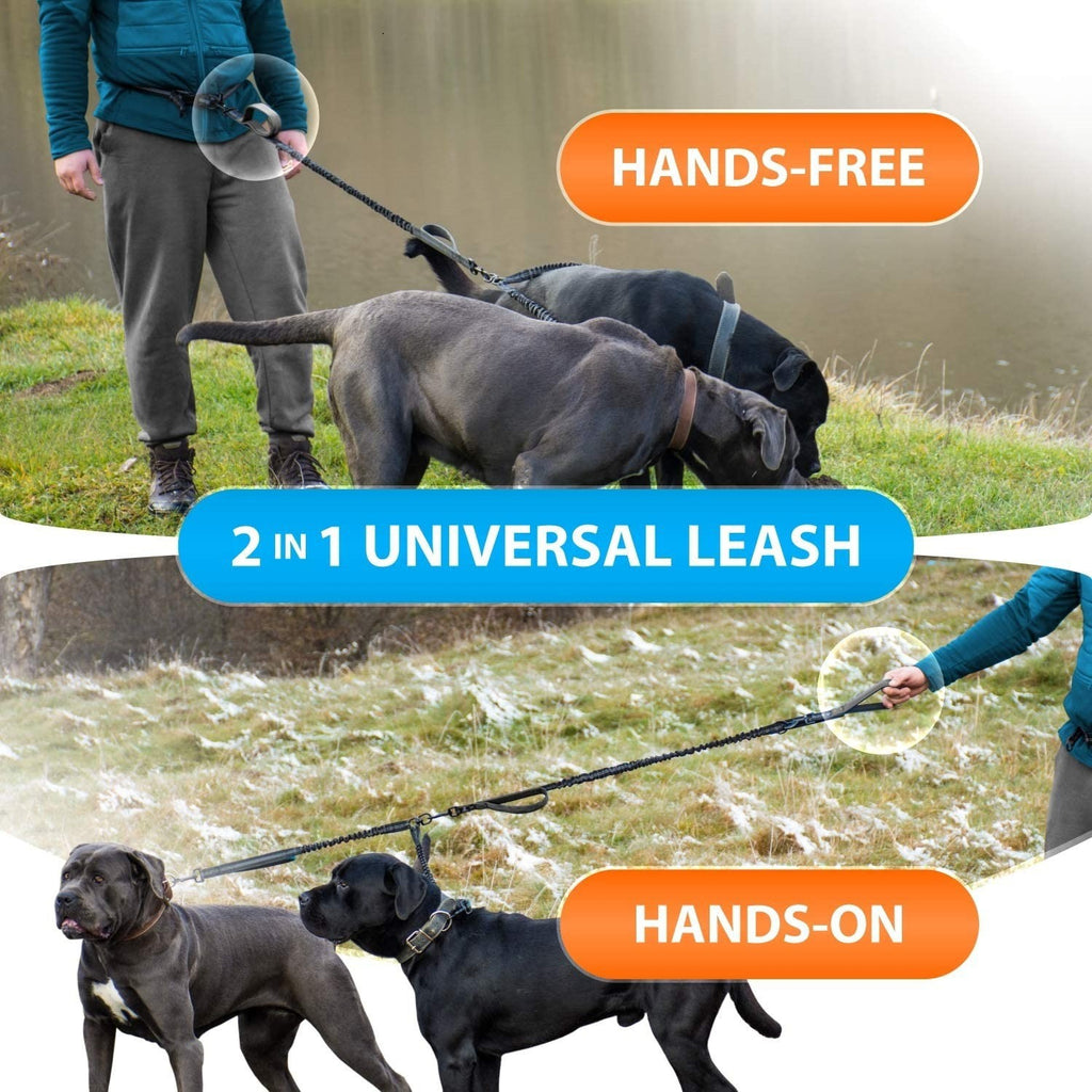 Dual Rope Hands-Free Waist Dog Leash - Walk Two Dogs | RoamX Pet