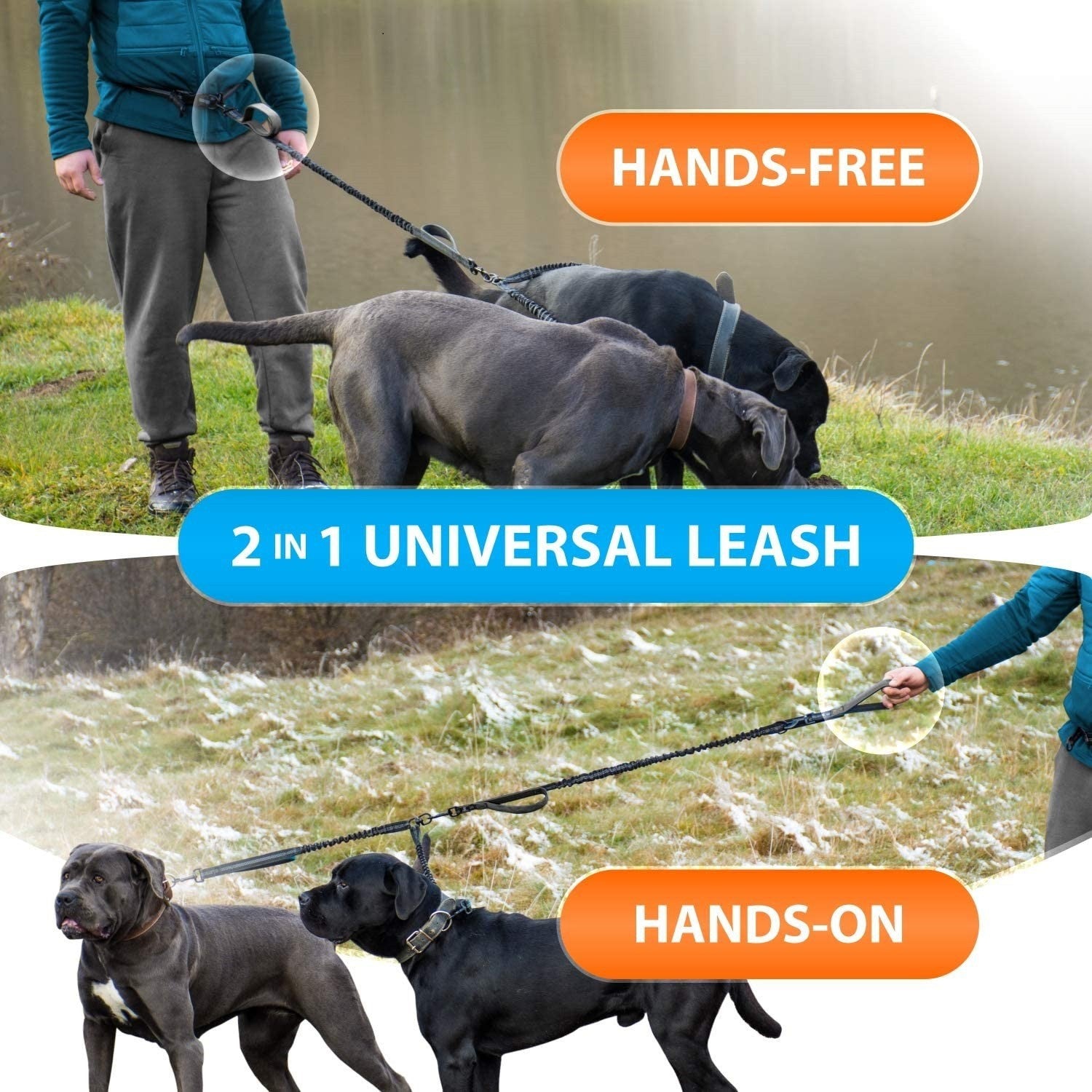 Dual Rope Hands-Free Waist Dog Leash - Walk Two Dogs | RoamX Pet