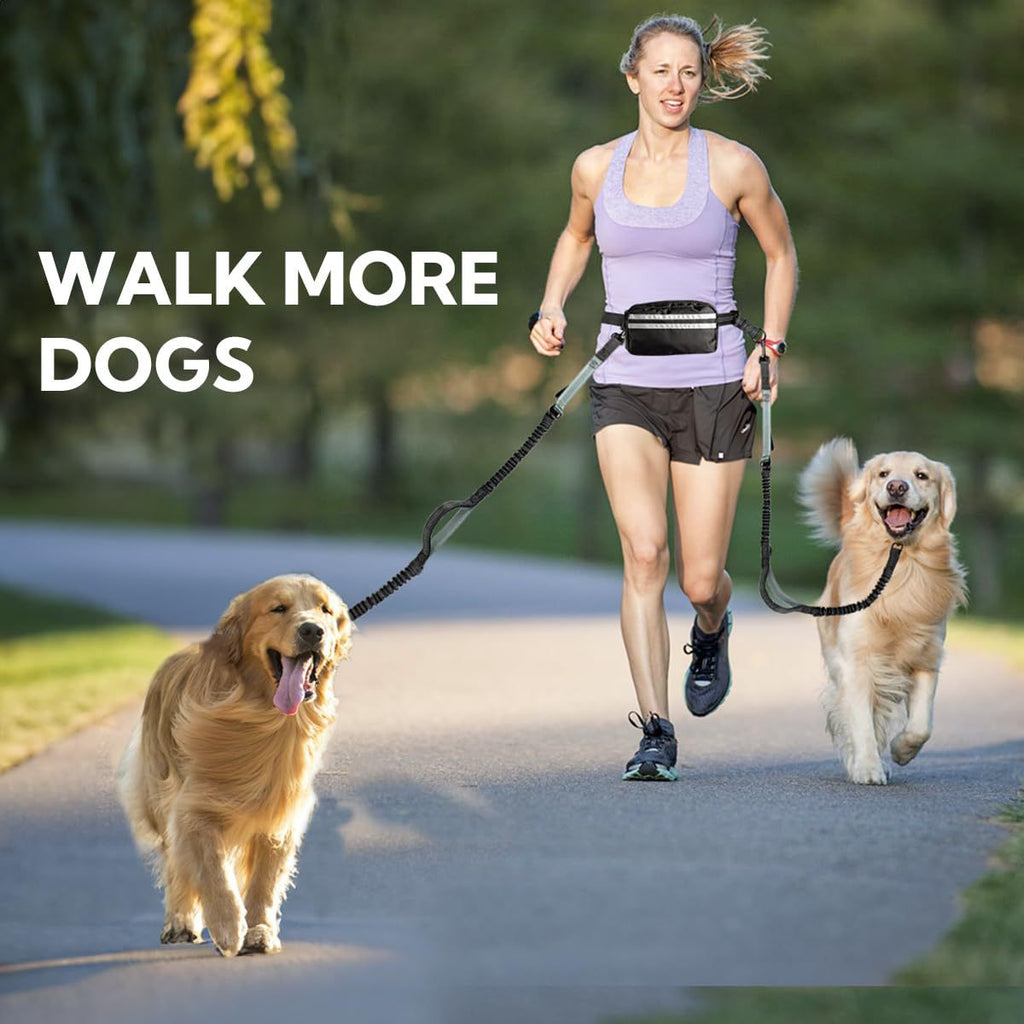 Hands-Free Double Dog Leash with Waist Bag - 2 Dog Bungee | RoamX Pet