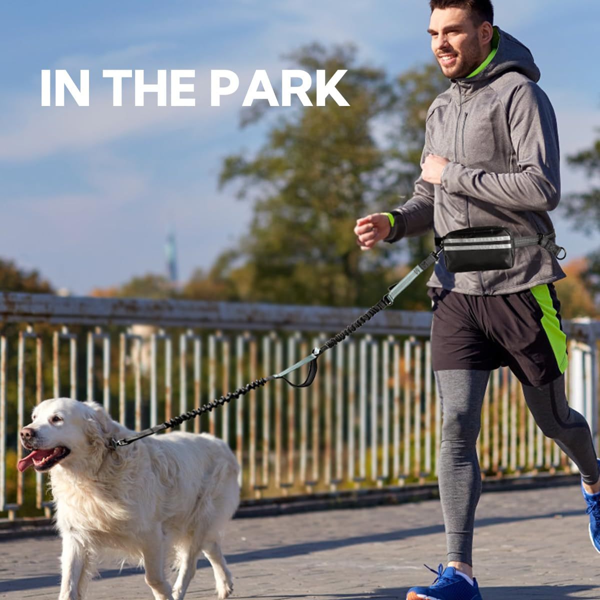 Hands-Free Double Dog Leash with Waist Bag - 2 Dog Bungee | RoamX Pet