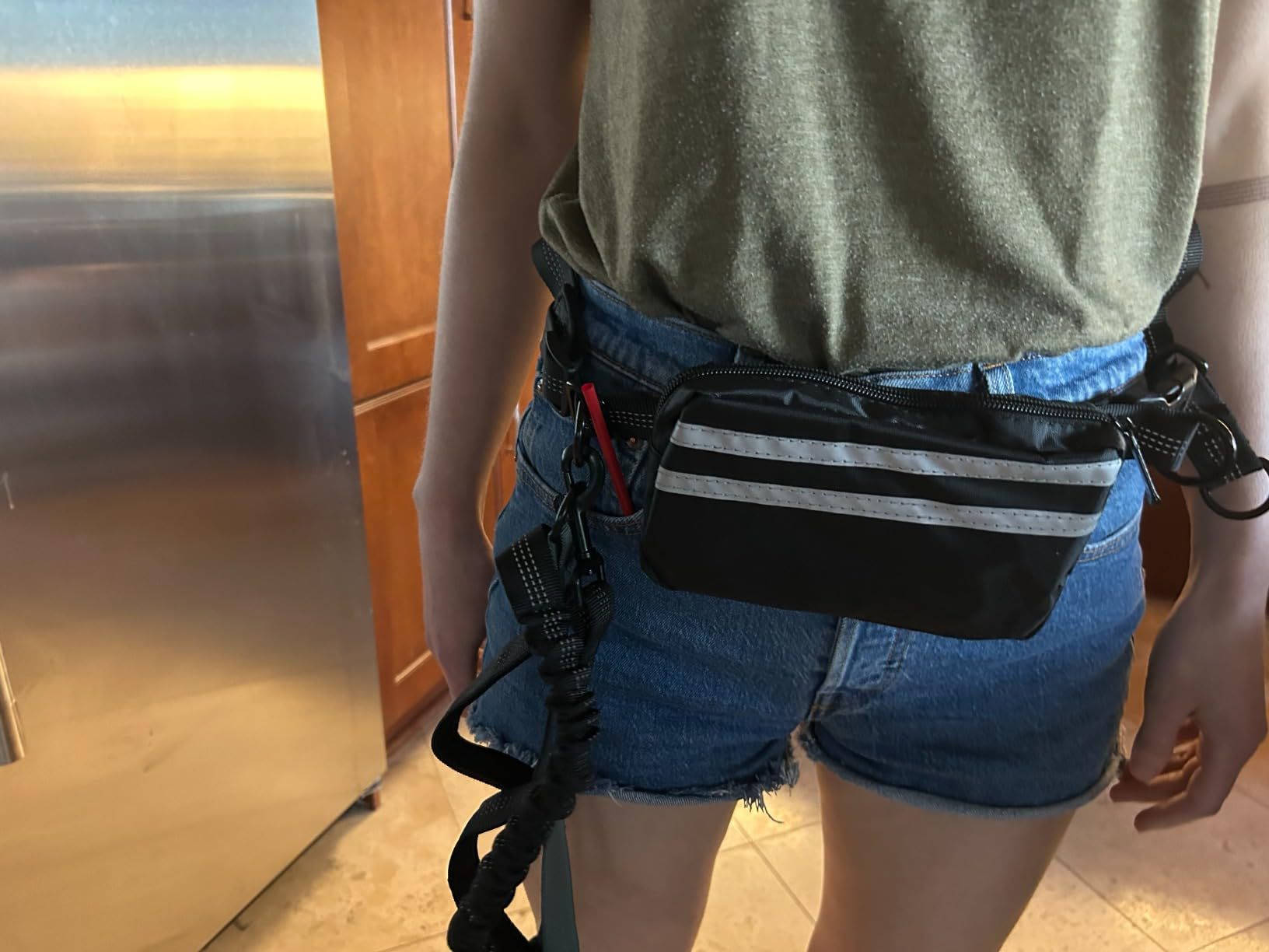 Hands-Free Double Dog Leash with Waist Bag - 2 Dog Bungee | RoamX Pet