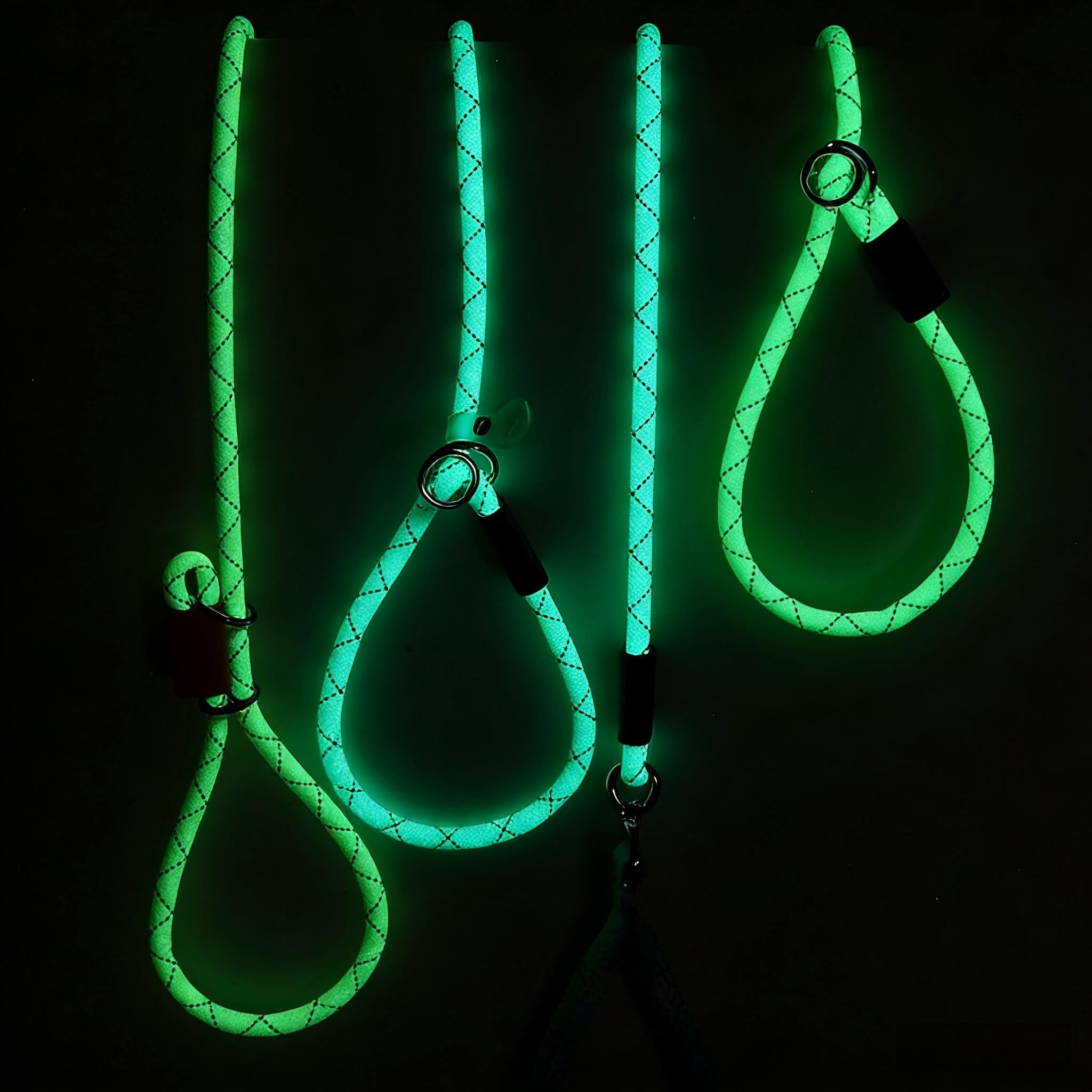 Glow-in-the-Dark Fluorescent Dog Leash - Night Safety | RoamX Pet