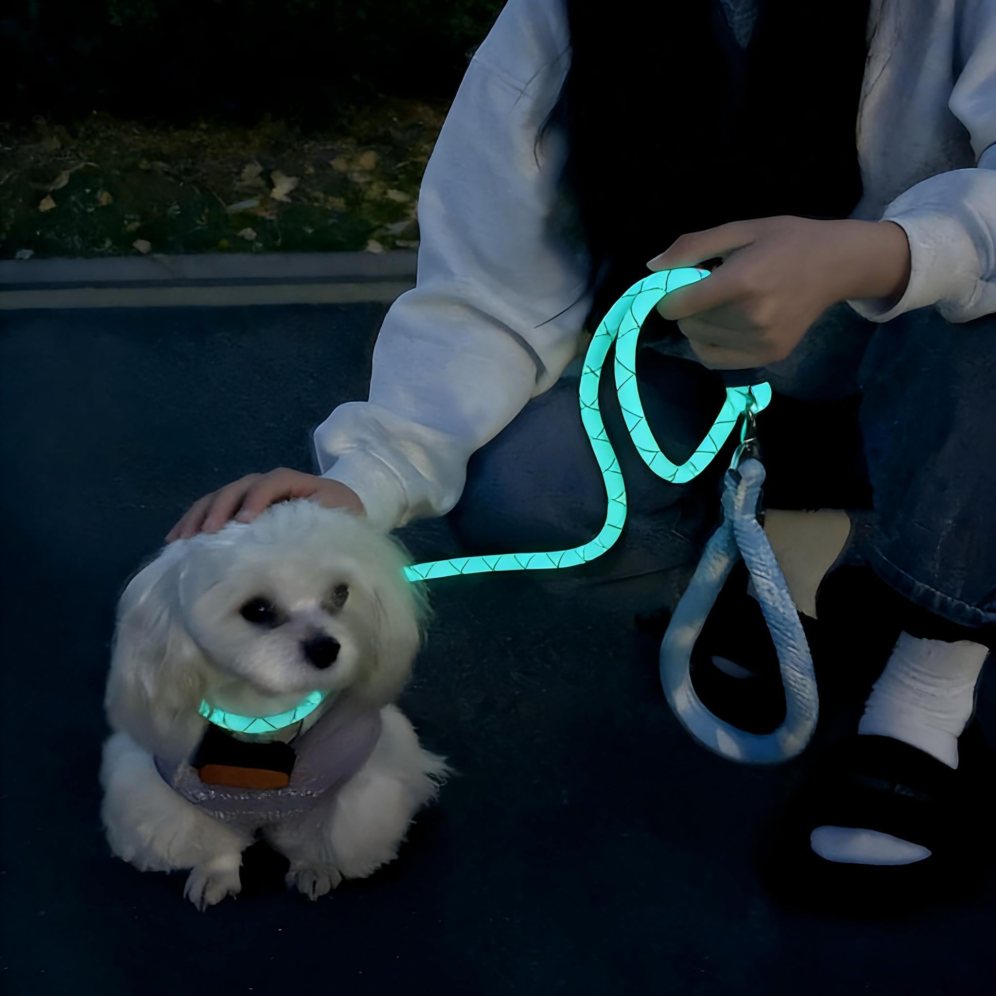 Glow-in-the-Dark Fluorescent Dog Leash - Night Safety | RoamX Pet