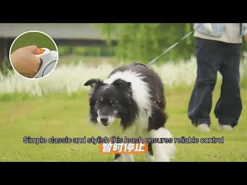 Anti-Bite Retractable Dog Leash - 16ft Heavy Duty Steel Wire | RoamX Pet